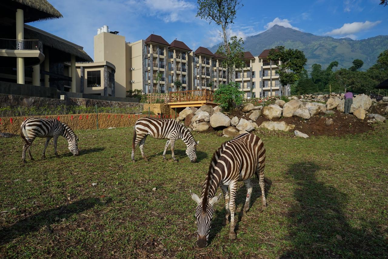 Baobab Safari Resort Prigen Eksteriør bilde